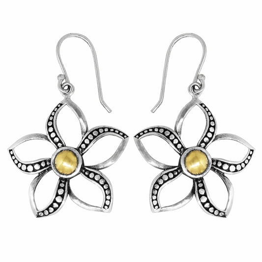 EARRING SER0774G